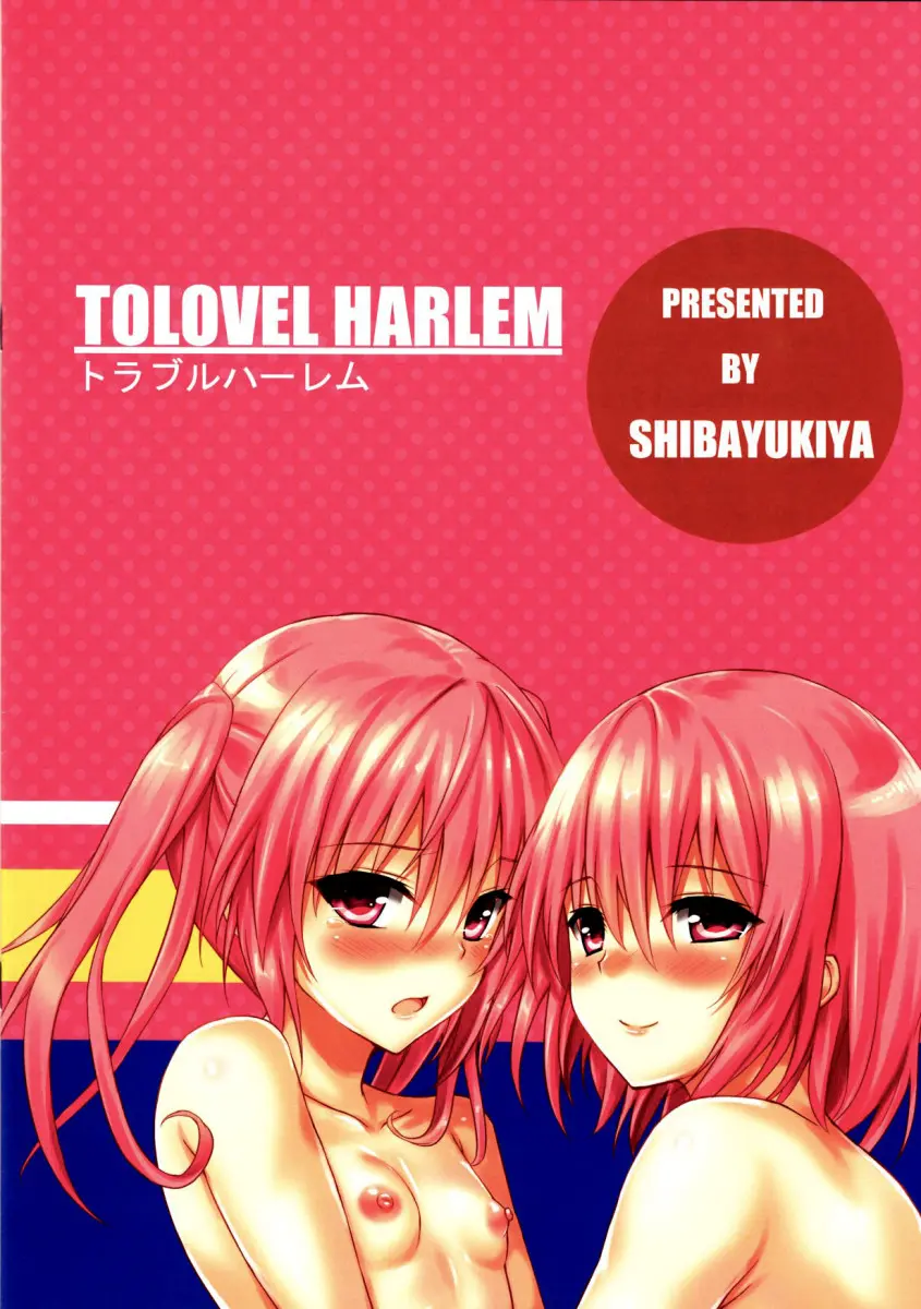 TOLOVEL HARLEM - Foto 12