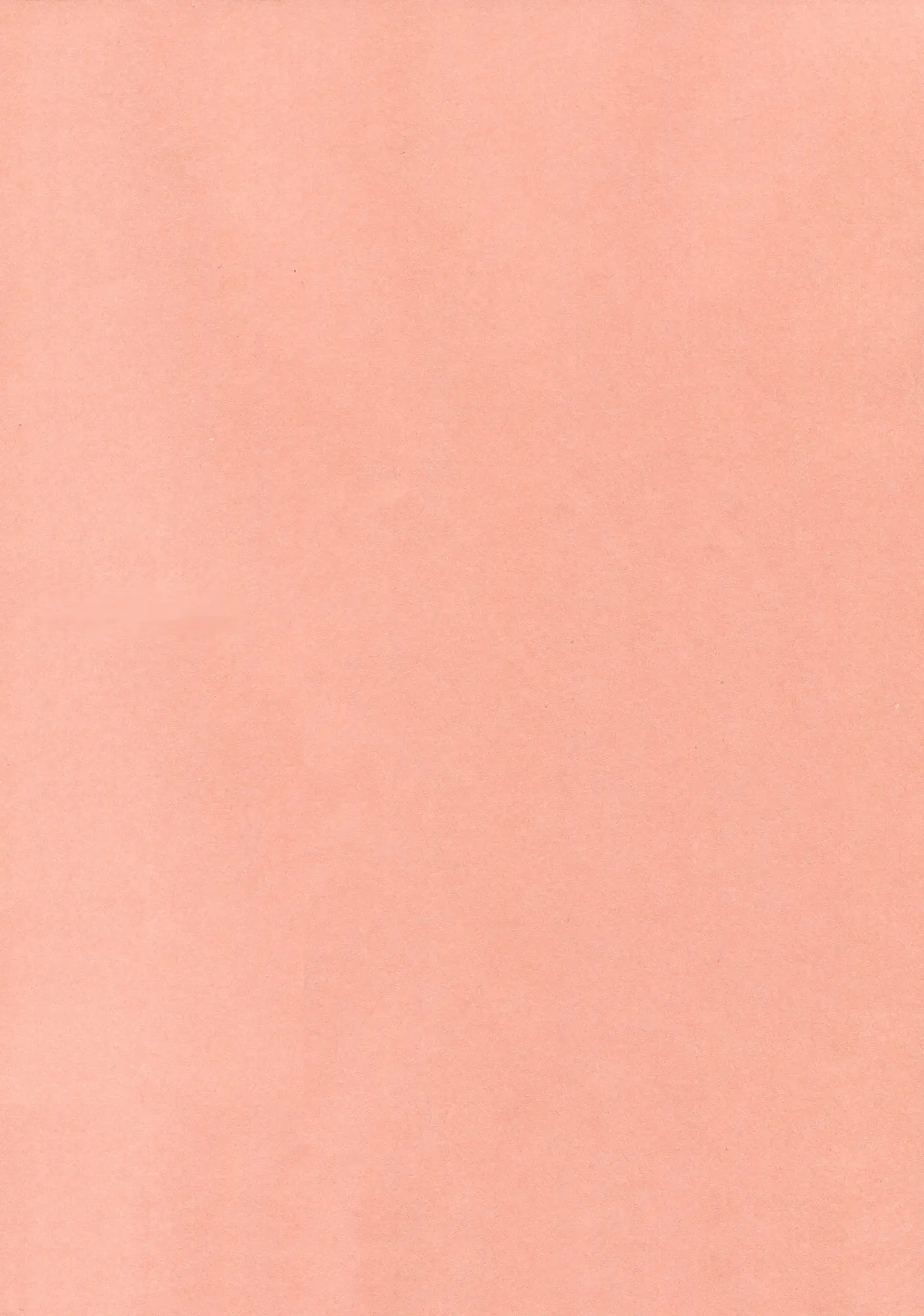 TORATONE - Foto 20