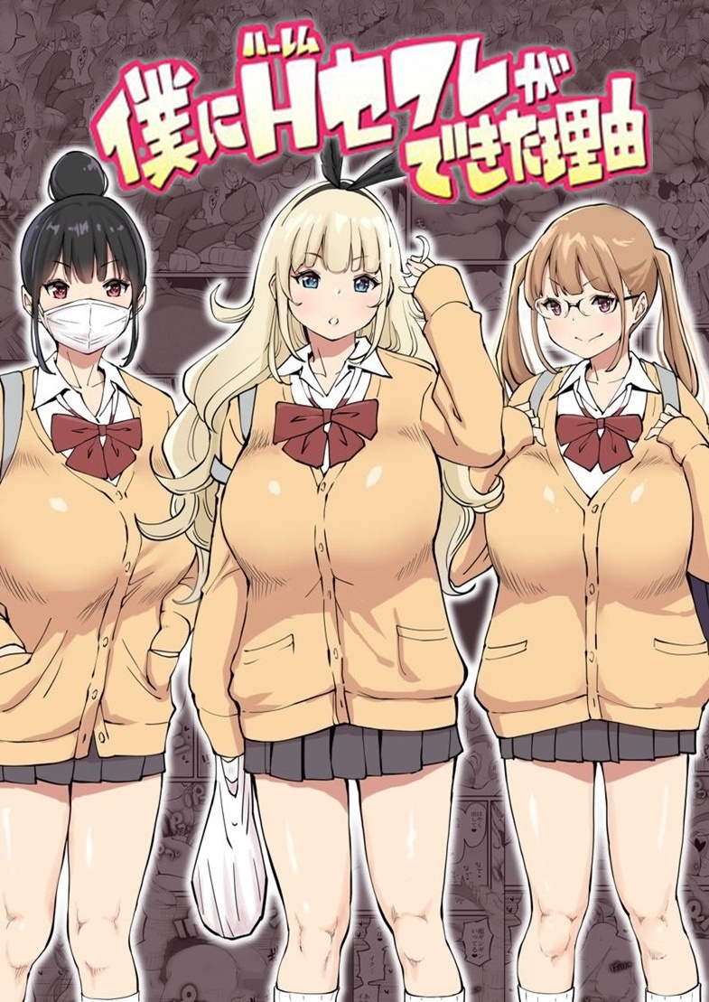 Boku ni Harem SeFri ga Dekita Riyuu