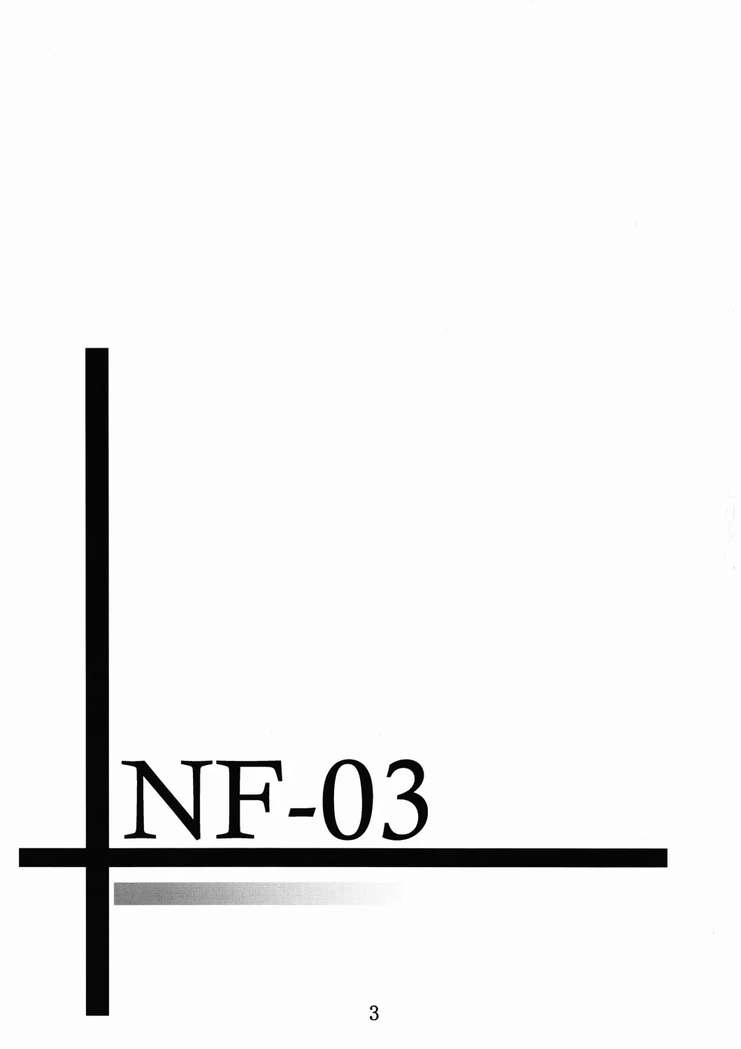 NF-03 - Foto 2