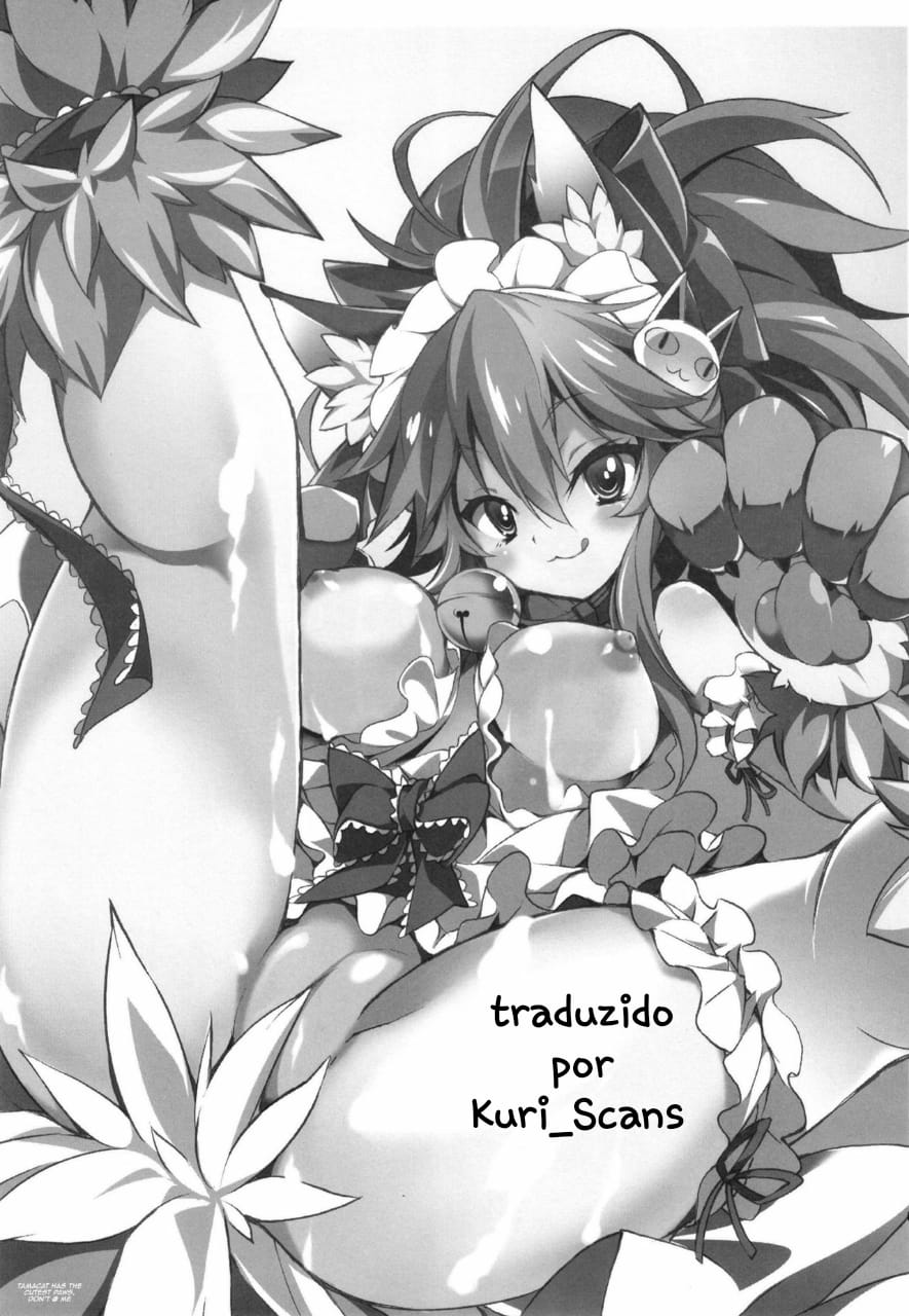 Cat-chan Kozukuri Daisakusen - Foto 2